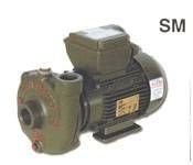 Alem Bertola SM 0,50 Hp 0,37 Kw 1'' Monofaze 220 Volt Su Pompası
