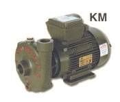 Alem Bertola KM 0,75 Hp 0,55 Kw 1'' Monofaze 220 Volt Su Pompası