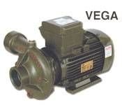 Alem Bertola VEGA 2 Hp 1,5 Kw 2'' Monofaze 220 Volt Su Pompası