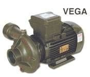 Alem Bertola VEGA 2 Hp 1,5 Kw 2'' Monofaze 220 Volt Su Pompası