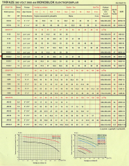Alem Bertola H60-V 7,5 Hp 5,5 Kw 2.1/2''-2.1/2'' Trifaze 380V Su Pompası