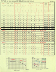 Alem Bertola H60-V 15 Hp 11 Kw 2.1/2''-2.1/2'' Trifaze 380V Su Pompası