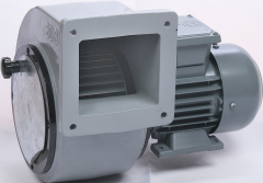 Bahçıvan BDS 5M 250-112 Aluminyum Gövdeli Salyangoz Fan