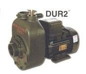 Alem Bertola DUR2 1 Hp 0,75 Kw 2'' Trifaze 380V Su Pompası
