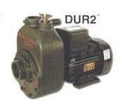 Alem Bertola DUR2 1 Hp 0,75 Kw 2'' Trifaze 380V Su Pompası